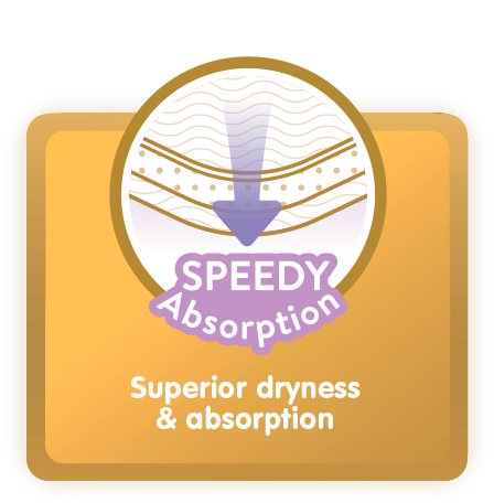 12 hrs Dryness, SPEEDY Absorption: Superior dryness & absorption